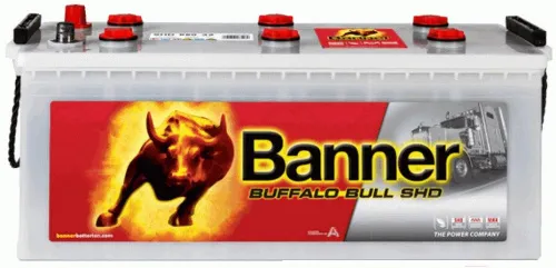 Аккумулятор BANNER Buffalo Bull 68032 180 Ач, 1000 А, 12 v, Обратная L+ (3) euro, D5 (B), B00 фото