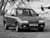 Аккумулятор для Citroen  Ax  1.3 (95 л.с.) фото