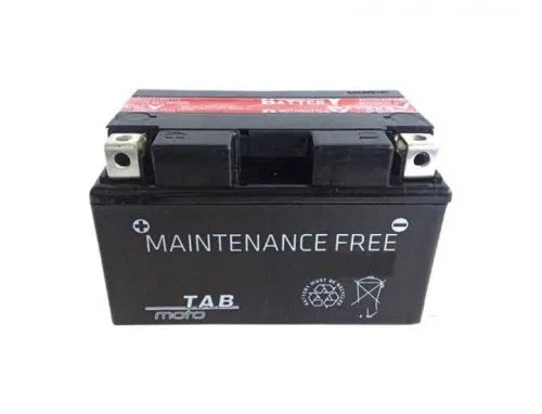 Аккумулятор TAB YTZ5-BS 4 Ач, 45 А, 12 v, Обратная R+ (0) фото