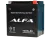 Аккумулятор ALFA YIX30L-BS AGM 30 Ач, 385 А, 12 v, Обратная R+ (0) фото