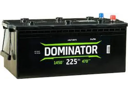 Аккумулятор DOMINATOR 225 Ач, 1450 А, 12 v, Обратная L+ (3) euro, D6 (C), B00 фото