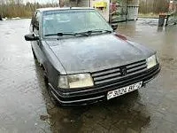 Аккумулятор для Peugeot  309  1.6 (97 л.с.) фото