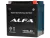 Аккумулятор ALFA YIX30L-BS AGM 30 Ач, 385 А, 12 v, Обратная R+ (0) фото
