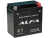 Аккумулятор ALFA YTX14L-BS AGM 14 Ач, 200 А, 12 v, Обратная R+ (0) фото