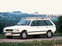 Аккумулятор для Peugeot  305  1.6 (89 л.с.) фото