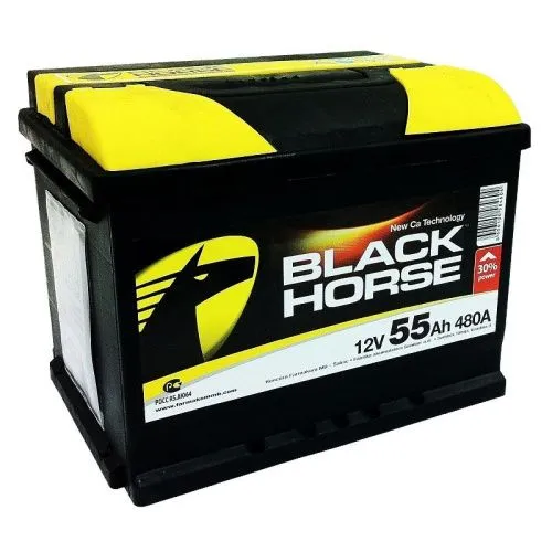 Фото Аккумулятор Black Horse 55 Ач, 480 А, 12 v, Обратная R+ (0), DIN L2, B13