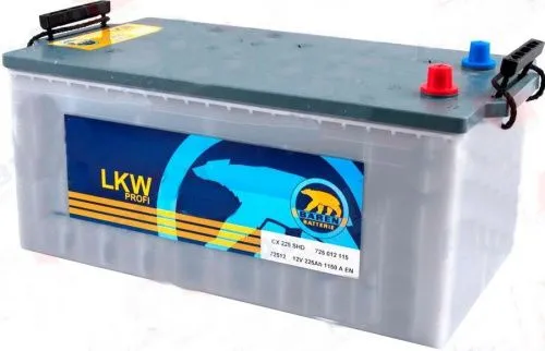 Аккумулятор BAREN Profi 225 Ач, 1150 А, 12 v, Обратная L+ (3) euro, D6 (C), B00 фото