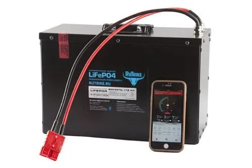 Аккумулятор RuTrike LiFePo4 112 Ач, 24 v фото
