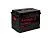 Аккумулятор A-Mega Standard 62 Ач, 560 А, 12 v, Обратная R+ (0), DIN L2, B13
