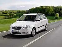 Аккумулятор для Skoda  Fabia  II 2007 - 2010 фото