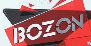 BOZON