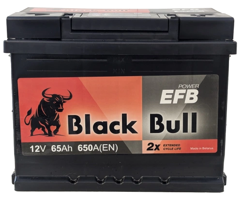 Фото BLACK BULL EFB 65 Ач, 650 А, 12v, Обратная R, L2
