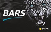 Аккумулятор BARS Asia 65 Ач, 600 А, 12 v, Обратная R+ (0), JIS D23, B00