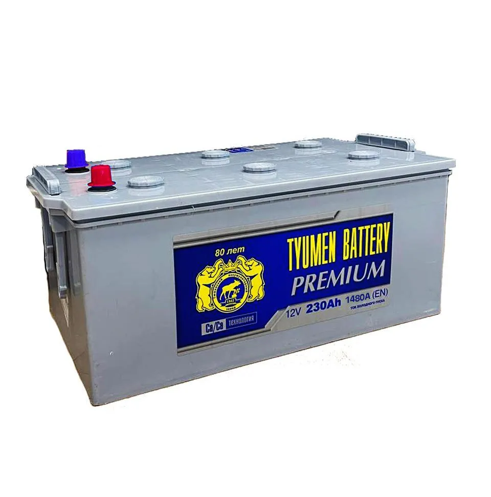 Аккумулятор TYUMEN BATTERY Premium 230 Ач, 1480 А, 12 v, Прямая R+ (4) rus, D6 (C), B00