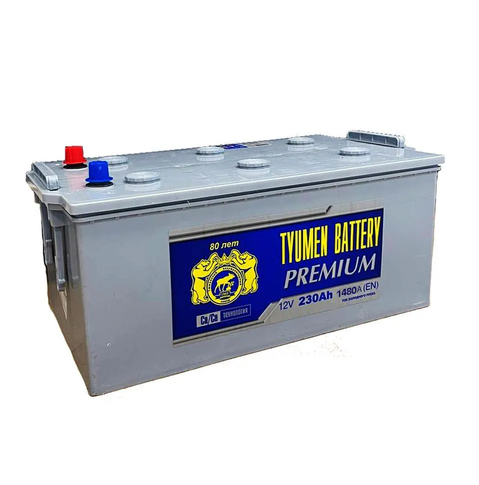 Аккумулятор TYUMEN BATTERY Premium 230 Ач, 1480 А, 12 v, Обратная L+ (3) euro, D6 (C), B00