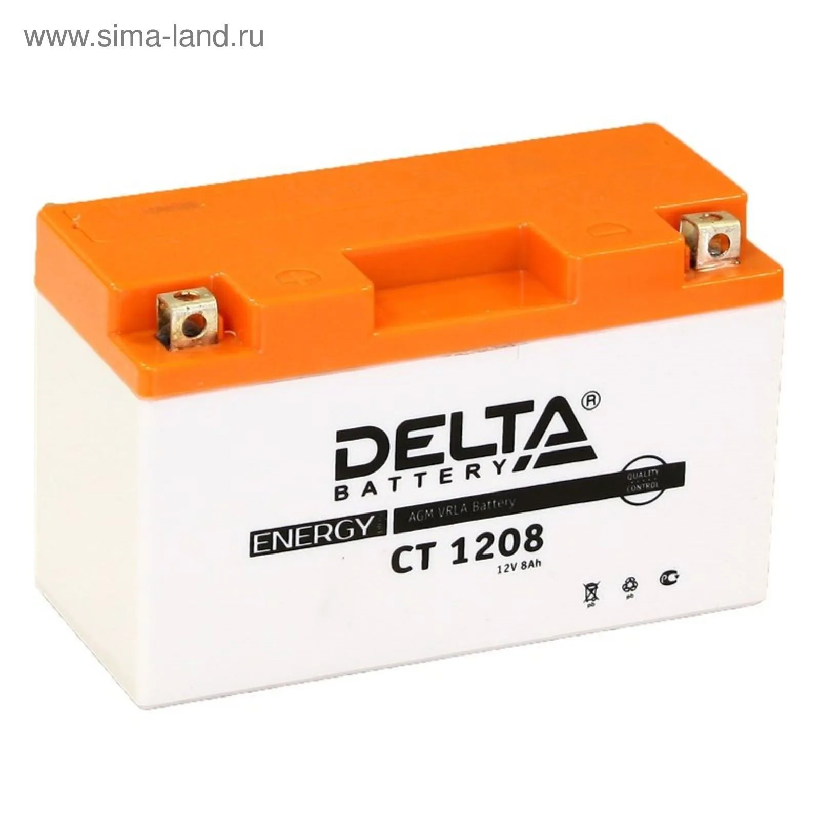 Аккумулятор DELTA YT7B-BS AGM 8 Ач, 110 А, 12 v, Прямая L+ (1)