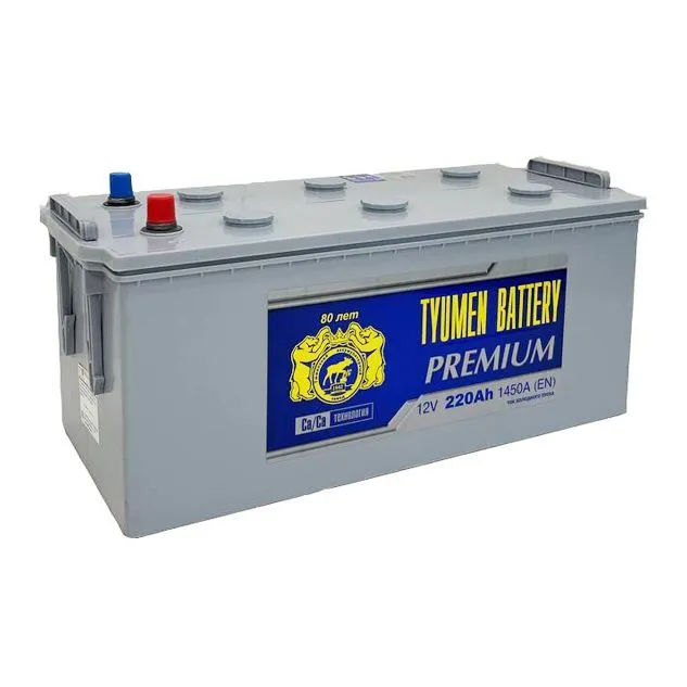 Аккумулятор TYUMEN BATTERY Premium 220 Ач, 1450 А, 12 v, Прямая R+ (4) rus, D4 (A), B00