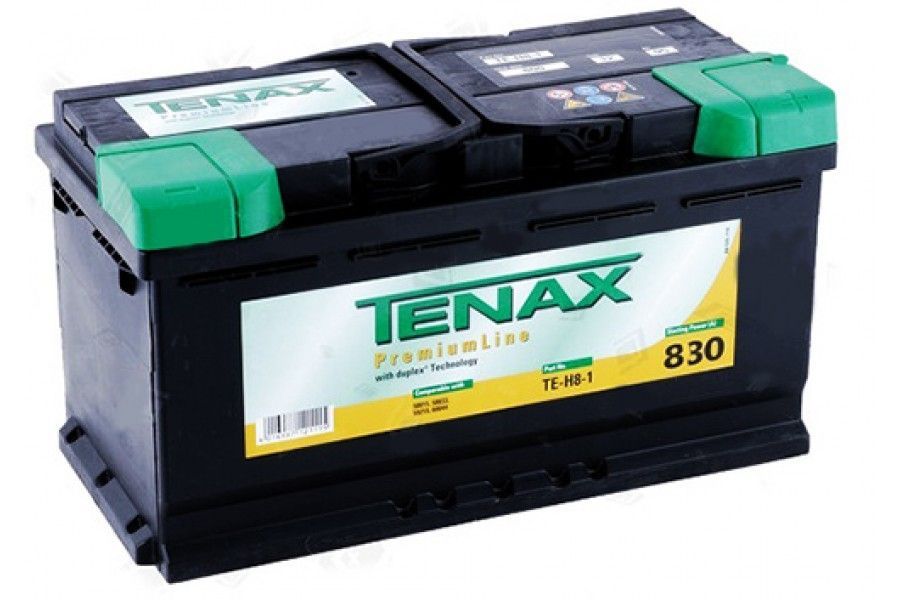 Аккумулятор TENAX PREM 600402 TE-H8-2 100 R+
